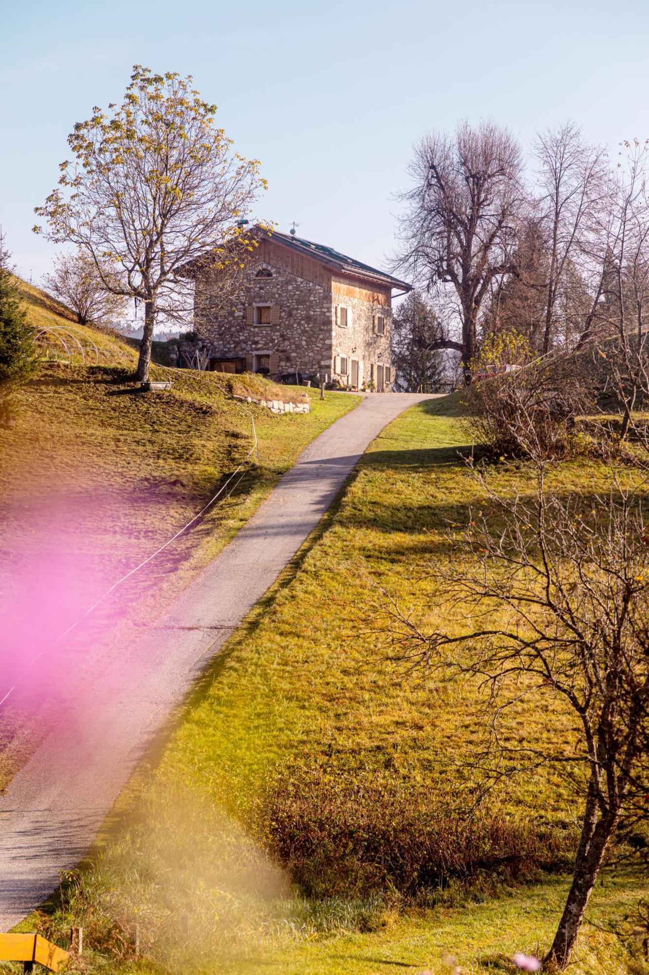 Cinte Tesino B＆B アイ マルケティーニ Bed & Breakfast エクステリア 写真